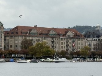 IMG_4464.jpg IMG_4464.jpg