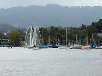 IMG_4465.jpg IMG_4465.jpg