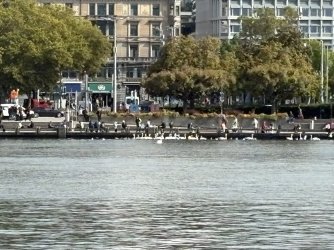 IMG_4476.jpg IMG_4476.jpg