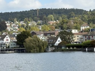 IMG_4504.jpg IMG_4504.jpg