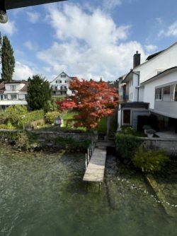 IMG_4510.jpg IMG_4510.jpg