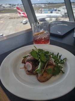 IMG_20251030_131534140_HDR.jpg IMG_20251030_131534140_HDR.jpg