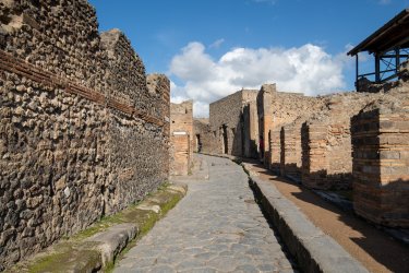 D85_7972.jpg D85_7972.jpg