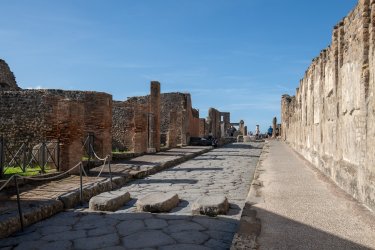 D85_7986.jpg D85_7986.jpg