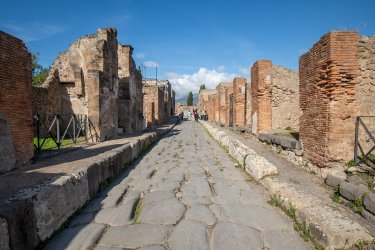 D85_8052.jpg D85_8052.jpg