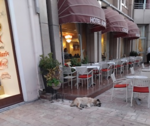 Screenshot 2025-10-31 132221.png Screenshot 2025-10-31 132221.png