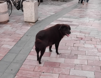 Screenshot 2025-10-31 132228.png Screenshot 2025-10-31 132228.png