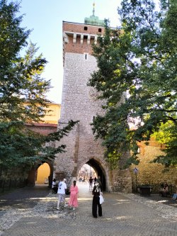 IMG20250902164202.jpg IMG20250902164202.jpg