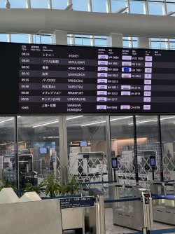 IMG_1967.jpeg IMG_1967.jpeg