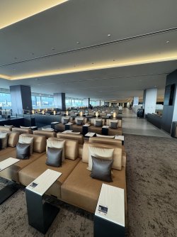 IMG_1971.jpeg IMG_1971.jpeg