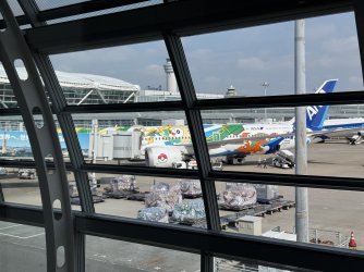 IMG_1987.jpeg IMG_1987.jpeg