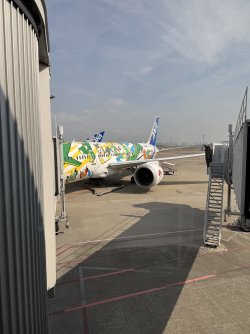 IMG_1988.jpeg IMG_1988.jpeg