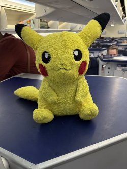 IMG_1994.jpeg IMG_1994.jpeg