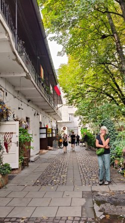 IMG20250903132526.jpg IMG20250903132526.jpg