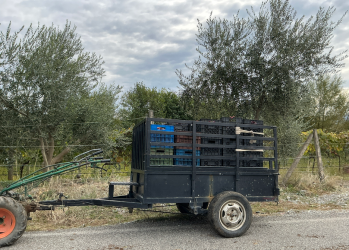 Screenshot 2025-11-02 115203.png Screenshot 2025-11-02 115203.png