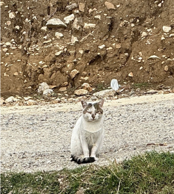 Screenshot 2025-11-02 115151.png Screenshot 2025-11-02 115151.png