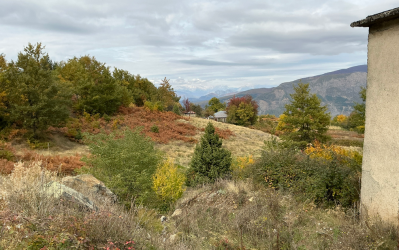 Screenshot 2025-11-02 121518.png Screenshot 2025-11-02 121518.png