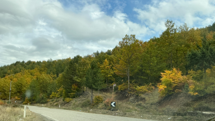 Screenshot 2025-11-02 121527.png Screenshot 2025-11-02 121527.png