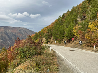 Screenshot 2025-11-02 121657.png