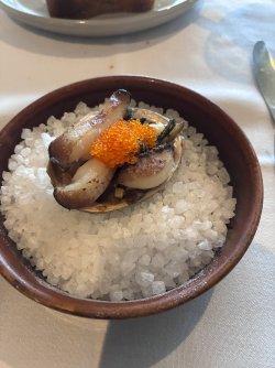 IMG_3143.jpeg IMG_3143.jpeg