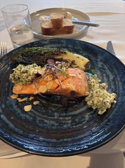 IMG_3145.jpeg IMG_3145.jpeg