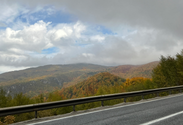 Screenshot 2025-11-03 131548.png Screenshot 2025-11-03 131548.png