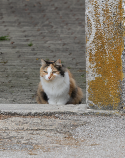 Screenshot 2025-11-05 113915.png