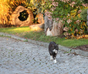 Screenshot 2025-11-05 115615.png