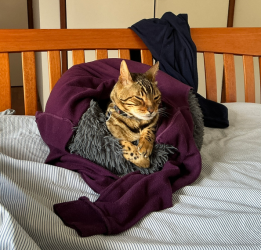 Screenshot 2025-11-05 115705.png