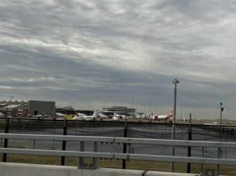 IMG_3137.jpeg IMG_3137.jpeg