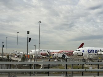 IMG_3138.jpeg IMG_3138.jpeg