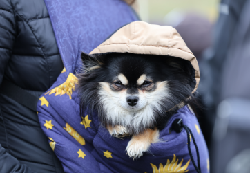 Screenshot 2025-11-06 095237.png Screenshot 2025-11-06 095237.png