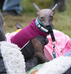 Screenshot 2025-11-07 144633.png Screenshot 2025-11-07 144633.png