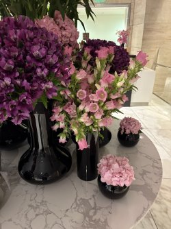 IMG_4871.jpg IMG_4871.jpg