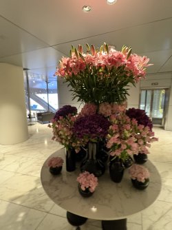 IMG_4873.jpg IMG_4873.jpg