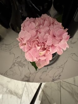 IMG_4875.jpg IMG_4875.jpg