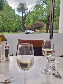 20251105_182615.jpg 20251105_182615.jpg