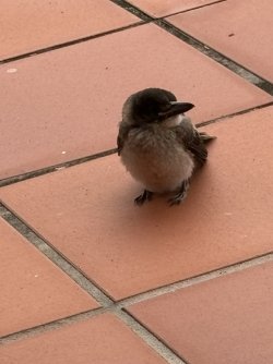 IMG_5114.jpg IMG_5114.jpg