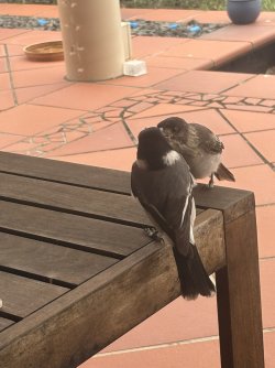 IMG_5117.jpg IMG_5117.jpg