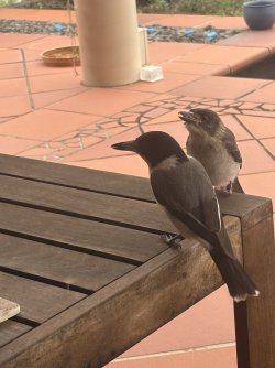 IMG_5118.jpg IMG_5118.jpg