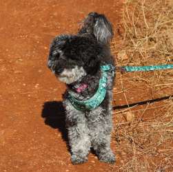 Screenshot 2025-11-07 154402.png Screenshot 2025-11-07 154402.png