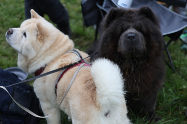 Screenshot 2025-11-08 164205.png Screenshot 2025-11-08 164205.png