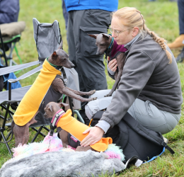 Screenshot 2025-11-08 164237.png Screenshot 2025-11-08 164237.png