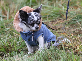 Screenshot 2025-11-08 165110.png Screenshot 2025-11-08 165110.png