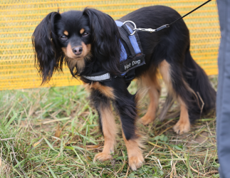 Screenshot 2025-11-08 165219.png Screenshot 2025-11-08 165219.png