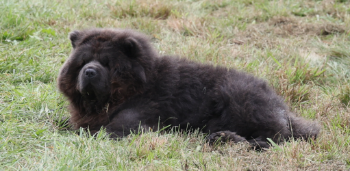 Screenshot 2025-11-08 173324.png Screenshot 2025-11-08 173324.png