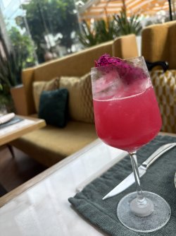 IMG_4942.jpg IMG_4942.jpg