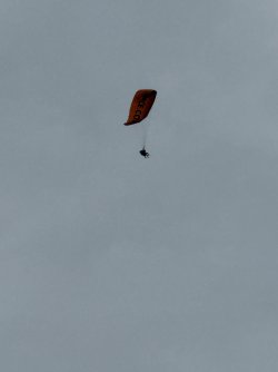 IMG_1551.jpeg IMG_1551.jpeg