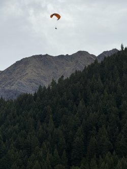 IMG_1552.jpeg IMG_1552.jpeg