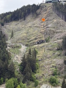 IMG_1553.jpeg IMG_1553.jpeg